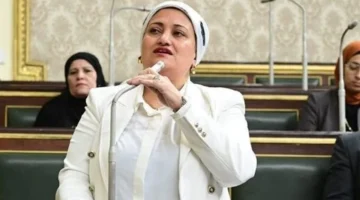 سناء السعيد تنتقد زيادة الأجور الحكومية لعدم موازنتها ارتفاع الأسعار الحالي في مصر